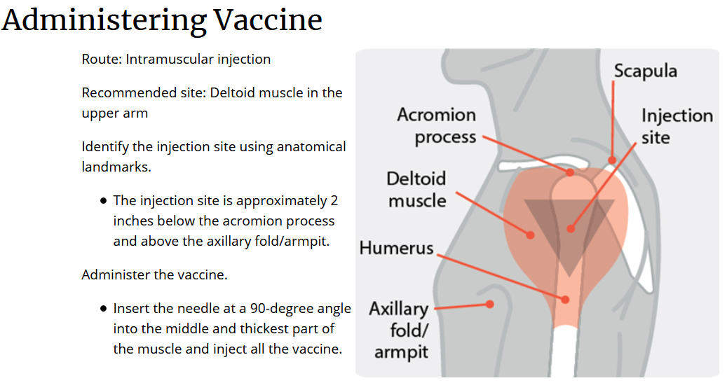 CDCの画像